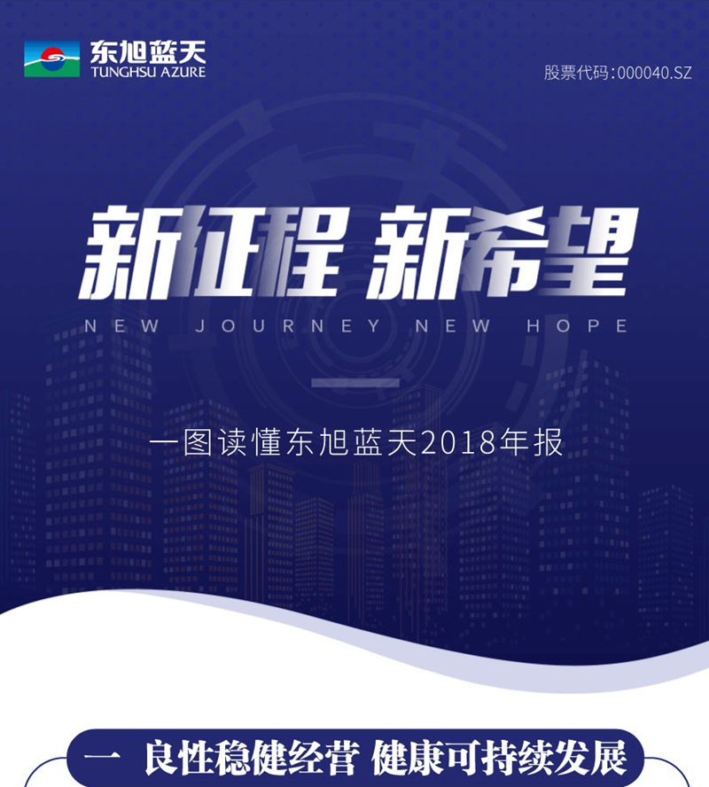 新征程 新希望 一图读懂东旭294俄罗斯专享会2018年报