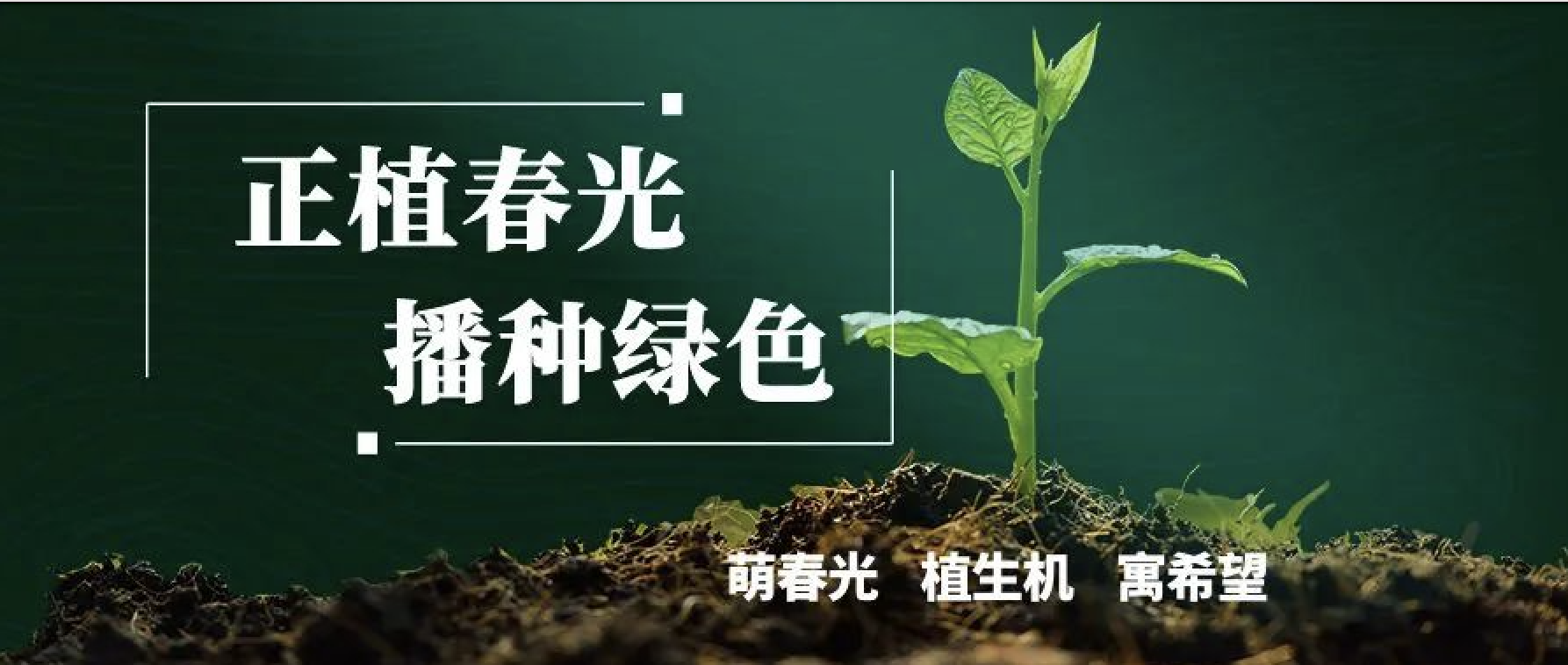 拥抱294俄罗斯专享会，共植美好