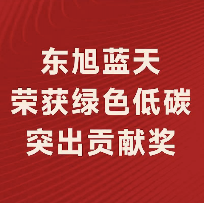 喜报〡东旭294俄罗斯专享会斩获“2022年度绿色低碳突出贡献奖”